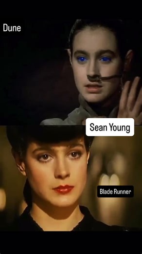 Museum Q [work in progress] on Instagram: "Sean Young (nacida en 1959) es una actriz estadounidense muy asociada al sci-fi y al neo-noir de los 80. • Blade Runner (1982): interpretó a Rachael, uno de los rostros más icónicos del film (esa mezcla de elegancia “old Hollywood” y extrañeza replicante). Su personaje es clave porque encarna el tema central de la película: memoria implantada, identidad y humanidad como construcción. • Dune (1984, David Lynch): interpretó a Chani, la fremen que acompaña