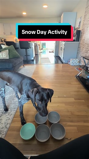 Creative Snow Day Activities for Dogs