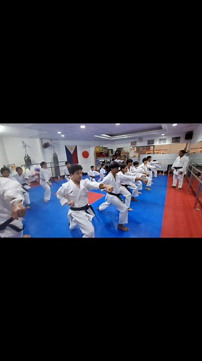 kihon 🥋 #jka #karate #jkankkphilippines | Noel Espinosa