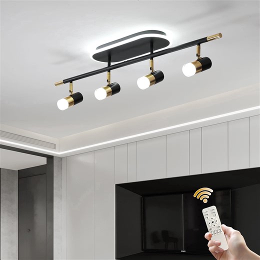 Ganeed LED Flush Mount 4 Light Track Lighting Spotlight Kit, Black Ceiling Spotlights, Modern Track Light Fixture with Flexibly Rotatable Light Heads, 60W Dual Lighting for Living Room