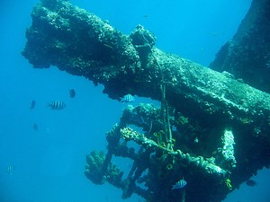 54. SS Antilla - Aruba