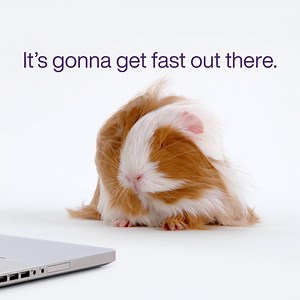 With TELUS Online Security powered by NortonLifeLockTM, and PureFibre Gigabit Internet, you can enjoy the fastest internet technology and stay safer—for just $109/mo.* | TELUS | Facebook
