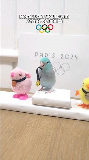 AT THE OLYMPICS 🏅 #parisolympics2024 #paralympics