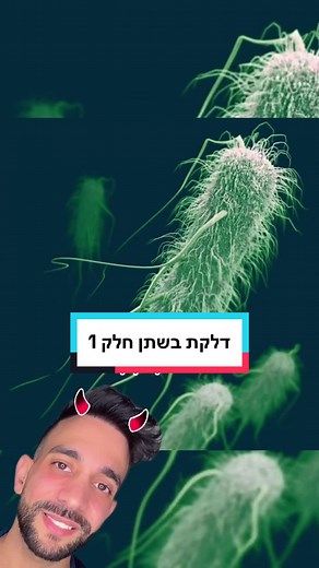 טיפול טבעי לדלקת בשתן