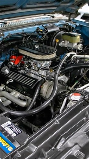 1983 Chevy C10 Stepside #classicchevy #c10trucks #c10 #patina #c10nation #squarebodychevy