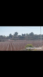 2.1K views · 12 reactions | 30°Rally Città di Casarano - PS 6 Palombara | Mattiperlecorse | Facebook