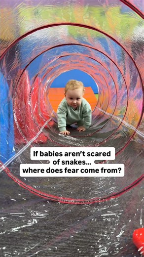 Elen | The Postpartum Society on Instagram: "When it comes to baby development, fear is important too. It’s how the brain learns to stay safe. In early baby development, fear and safety grow together. Most fears aren’t inborn - they’re learned through how babies read our faces, tone, and reactions. What research shows: 🧠 The only two fears present from birth are falling and loud sounds 🧠 Babies aren’t born afraid of snakes they’re curious instead. 🧠 Fear develops later, once they see fear in 