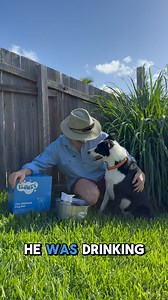 🚨 Spoiler alert: Your dog water bowl? It could be hurting your pup’s health. That slimy buildup isn’t just gross—it’s a breeding ground for bacteria and algae that vets say can make your dog seriously sick. Scrubbing it out once a week? Not enough. Flowzy keeps your dog’s water clean, cool, and flowing 24/7—no slime, no algae, no harmful bacteria. 🦠 Blocks bacteria & algae before they form 💧 Fresh, filtered water all day long ❄️ Insulated stainless steel keeps water cold 🛢️ Huge 7L capacity 