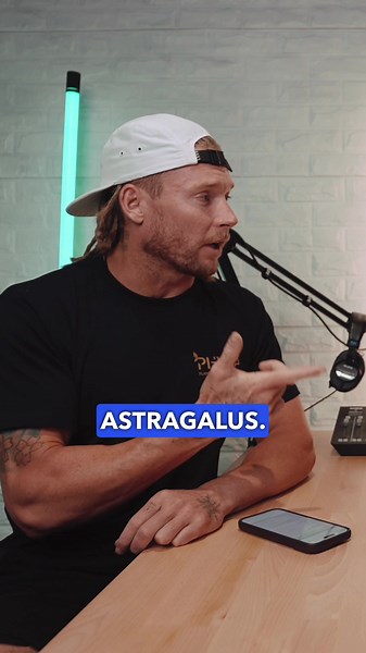 Astragalus Benefits in Traditional Chinese Medicine