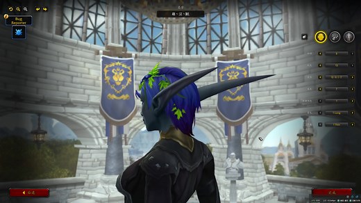 【9.0魔兽世界测试服】【4K】Build34902暗夜精灵女