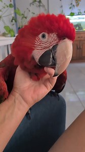 The floofer compilation ♥️ | Eddie's Flight Club