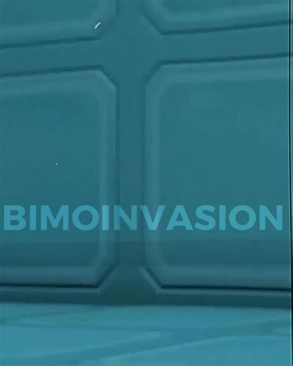 Explore the Fun World of Rabbids Invasion