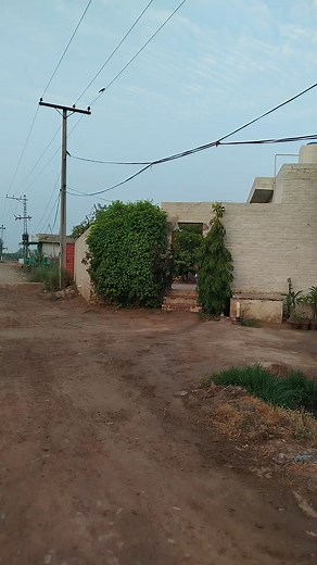 Green world nursery pattoki farm 3 #plantslover @highlight | GreenWorld Nursery