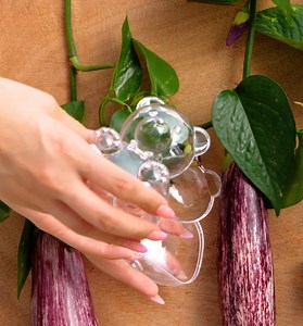 781K views · 3.2K reactions | Grandma’s Secret Gardening Tips To Make Your Plants Thrive And Bloom! | 5-Minute Crafts Family | Facebook