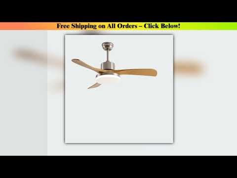 36/42inch Modern DC Ceiling fan with light and Remote Control for Living room dining room bedroom
