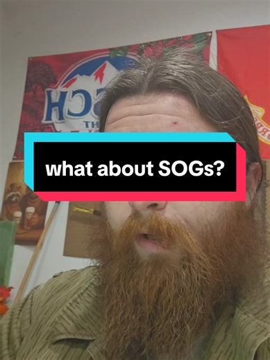 Replying to @bonnar_rhys talking about SOG knives no prohibited items were shown or used in this video #military #history #education #fyppppppppppppppppppppppp #powertools