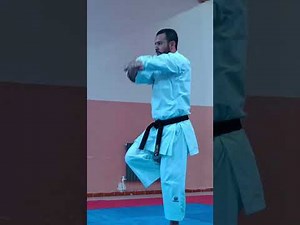 Chinte | The Kata of the Rare Hand