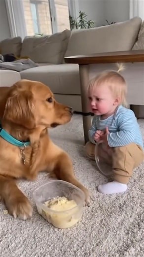 2.7K views · 47 reactions | #dog #Playing #cute | Super zoo01 | Facebook