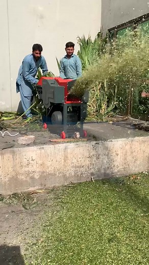 5.9K views · 106 reactions | Chaff Cutter | Hight Speed Chaff Cutter...