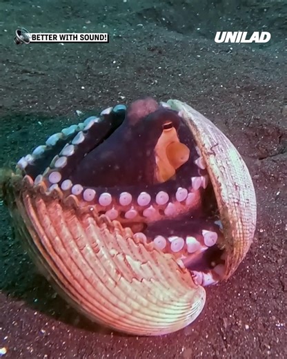 423K views · 565 reactions | Nature is incredible  | UNILAD | Facebook