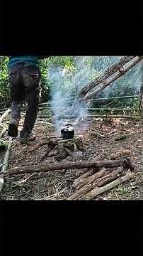 Camping Bushcraft - Membuat Shelter Bambu di Akar Gantung - Mencari Sayuran Hutan 🌿🏕️🎋