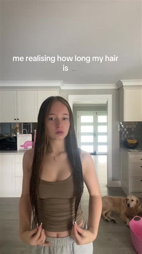 Long Hair Styling Tips for Dogs