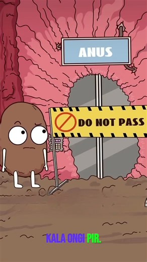 Don’t push too hard! Rectal prolapse explained in a simple & funny way 🚽😂.#shorts #animation #funny