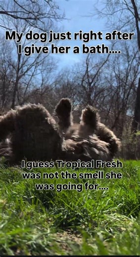 Muddy grassy smell it is!