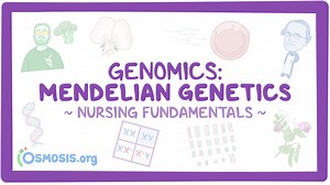 Genomics - Mendelian genetics: Nursing: Video & Causes | Osmosis