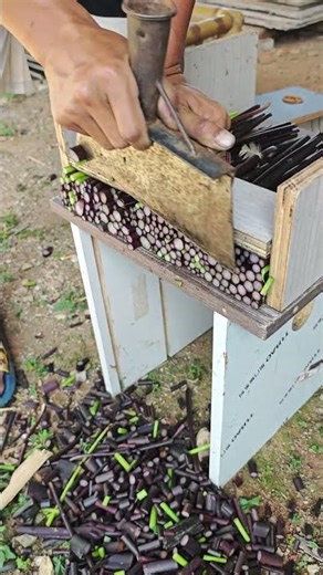 The Beauty of Hand-Cutting Precision and Rhythm