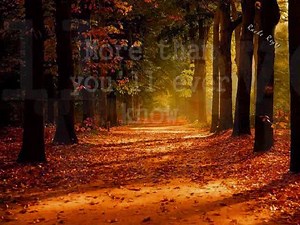 138K views · 5.4K reactions | MORE By: Andy Williams Video Editor/Creator and Owner: Rachel Reyes | MUSIC and ME | Facebook