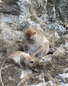 Ilona🪼 | Put me back on a plane asap🥹 | Instagram