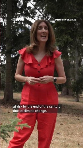 Up to 72% of the capital's urban tree canopy could be at risk by the end of the century.