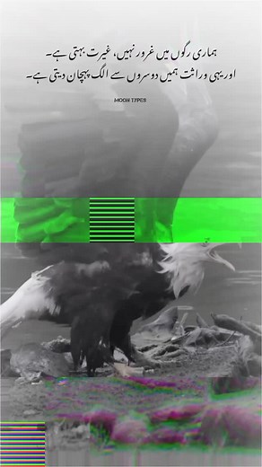 #moon_types | Moon Types