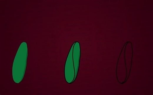 AE模板-玉米茄子等蔬菜水果的卡通可爱色彩鲜明的风格涂鸦动画素材AE源文件 vegetable doodles