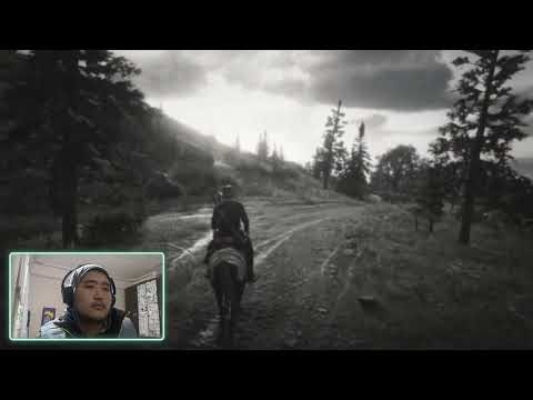 Red Dead Redemption 2 — Live Story & Free-Roam: Quests, Guns & Horses