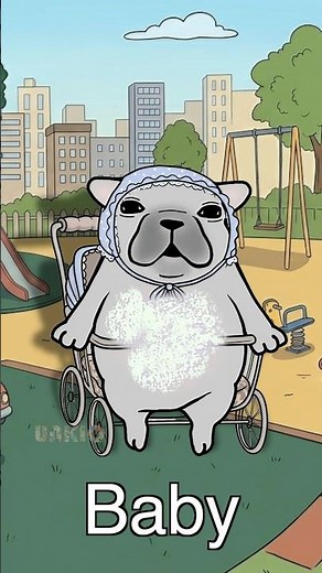 9 Pibble "Wash My Belly" Sound Variations in 54 Seconds #soundvariations #pibble #washmybelly