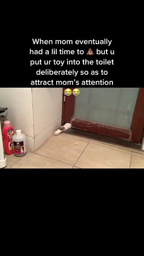 Lil baby has separation anxiety 😭 #cat #kitty #traceroncats #cute #foryou