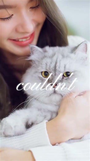 Cat Itching Relief Journey