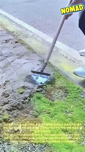 10년 장인의 보도블록 이끼 및 흙 완벽 제거! 강력한 스크래퍼 작업 가이드 #worker #process #sidewalk #moss #cleaning