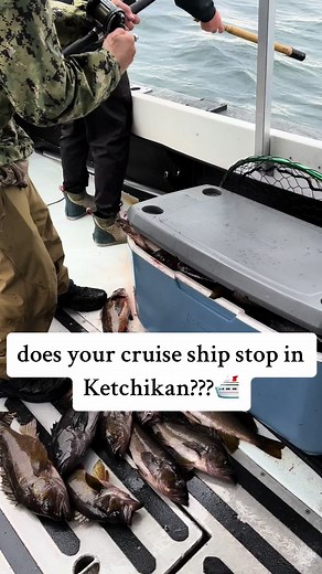 Alaskan Cruise?? Book a once in a lifetime fishing charter! #ketchikan #alaskafishing #fishingtiktoks #alaska #alaskacruise #alaskancruise #princesscruises #norwegiancruise #disneycruise #fyp #fypシ #salmon #halibutfishing