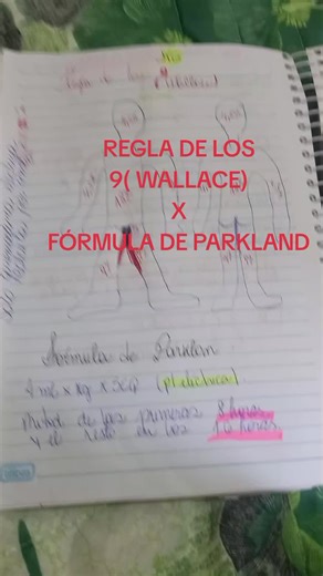 Regla de los 9 y Fórmula de Parkland en Medicina