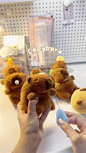 4K views | bộ sưu tập capybara #stationery #stationeryaddict #stationeryhaul #desk #desksetup #fy #fyp #capybara | Tiệm Ngựa Gỗ | Facebook