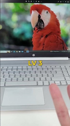 Top 3 cách Zoom ảnh bằng touchpad cực đơn giản #laptoptcc #dell #hp