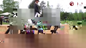 118K views · 1.4K reactions | Die Pferd International München ist...