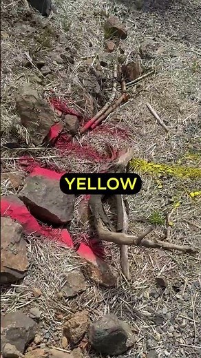 Do you know your utilities marker / locate colors? #utilities