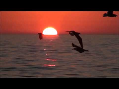 Ambrosia - Holding on to Yesterday - Lyrics (HD)