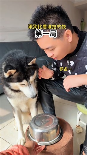 79K views · 1.3K reactions | #fb #funnyreels #doglover #fun #playtime #viral #dog #fypシ | Pet Passion Hub | Facebook