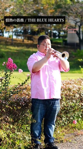 情熱の薔薇 / THE BLUE HEARTS【トランペット】 #trumpet #トランペット #情熱の薔薇 #thebluehearts #ブルーハーツ