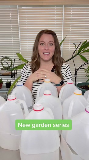 Winter Seed Sowing: A Beginner's Guide to Starting Seeds Outdoors